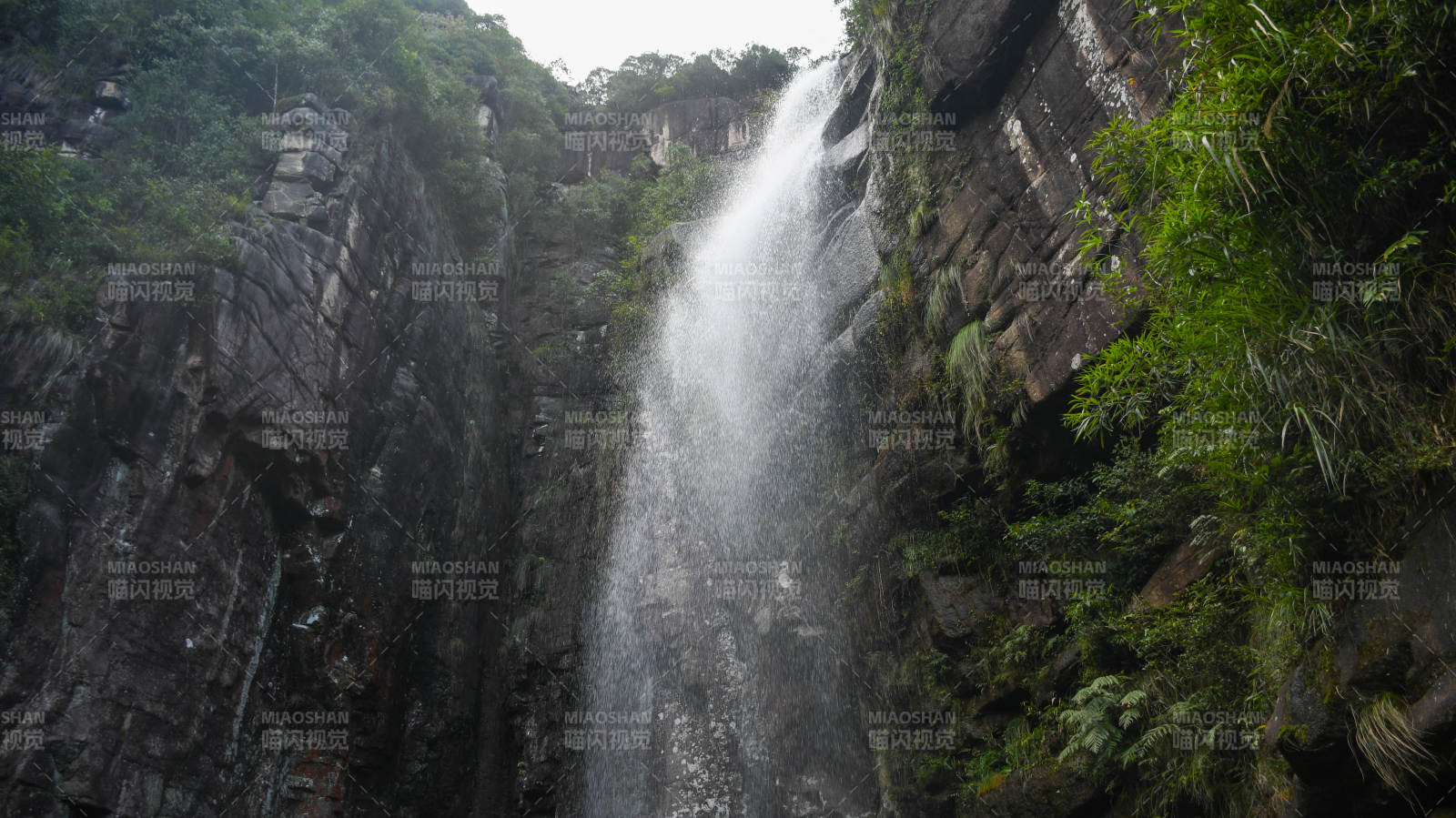 山间瀑布 绿植环绕图片