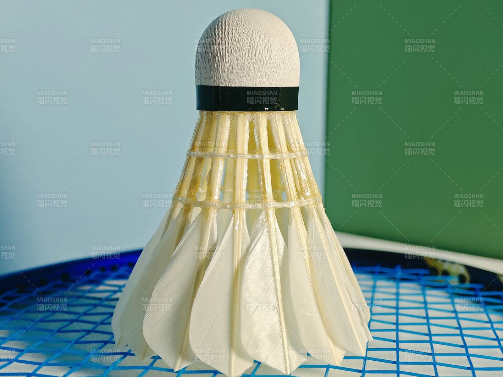 羽毛球静置拍面特写图片