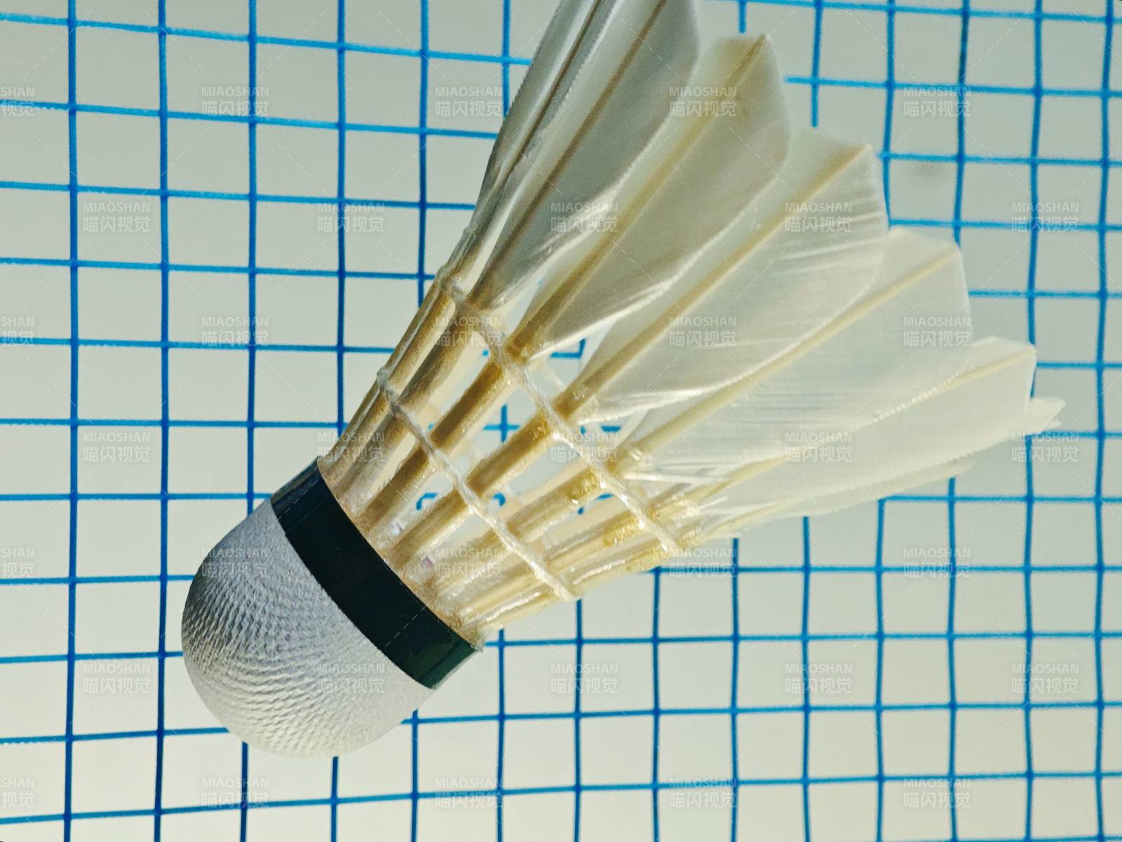 羽毛球特写图片