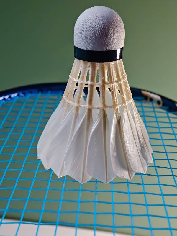 羽毛球与球拍的完美结合图片
