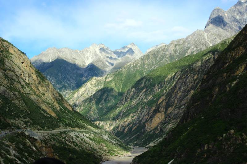 西藏达谷峡谷 高山峡谷 植物图片