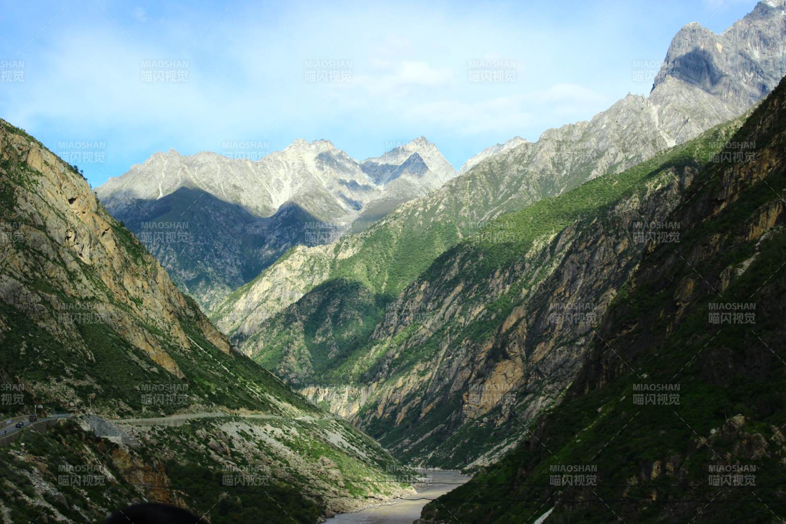 西藏达谷峡谷 高山峡谷 植物图片