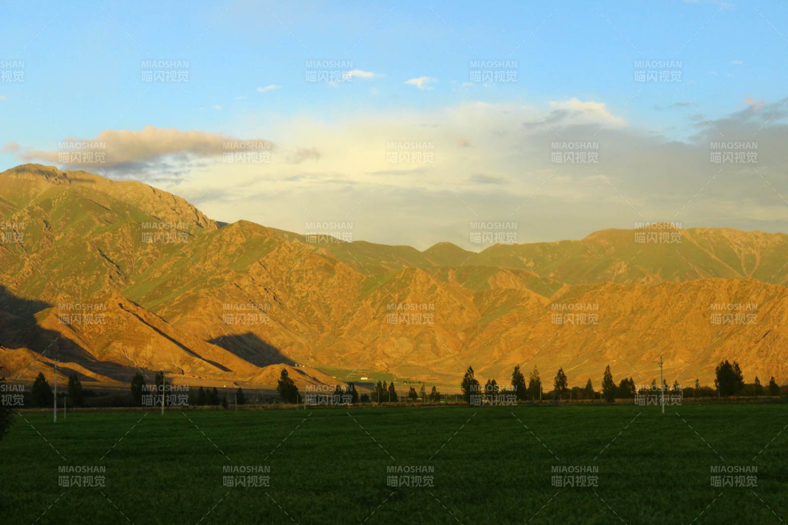 西藏 青稞田夕阳下的山峦与绿野图片