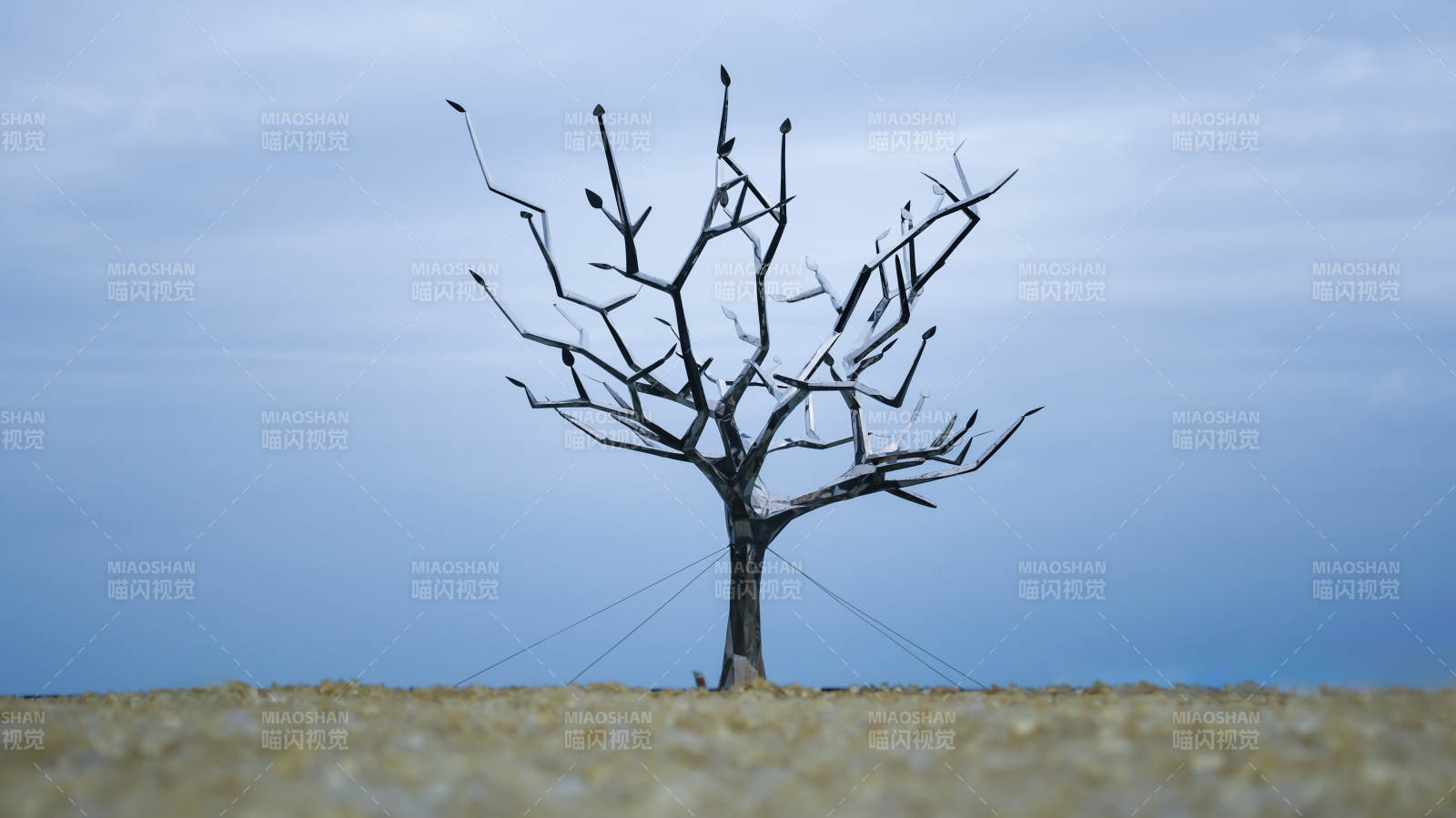 阴天下孤树枯枝图片