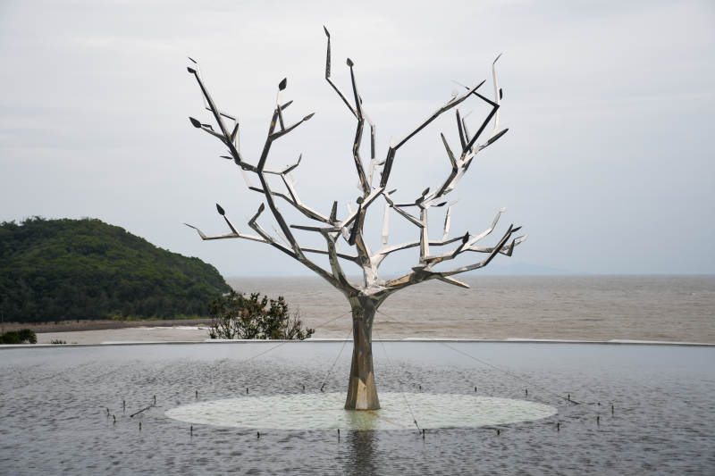 福州枯树与海鸟的静谧景象图片