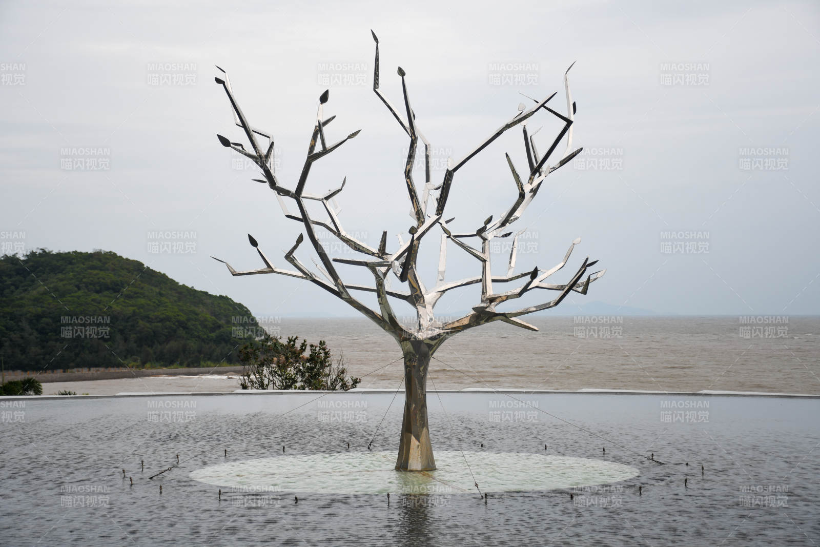 福州枯树与海鸟的静谧景象图片