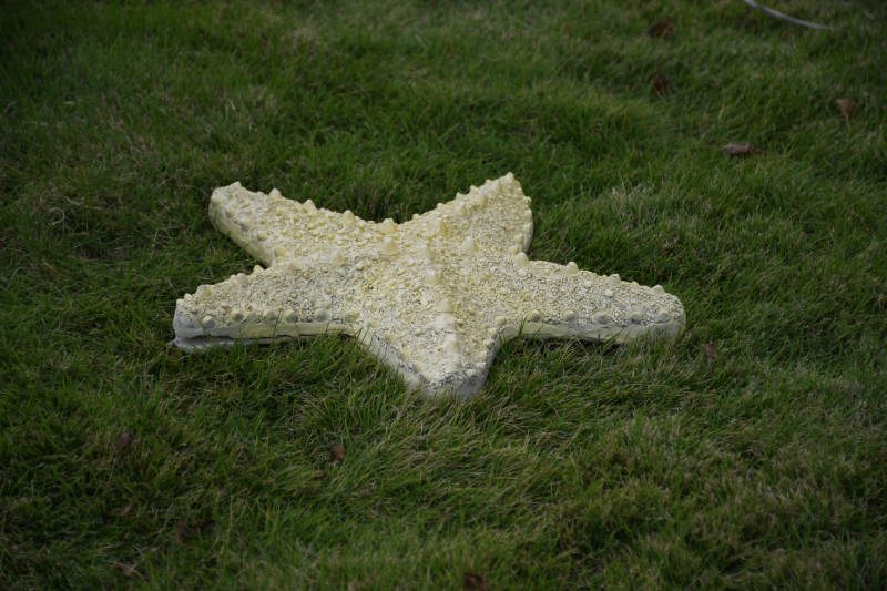 草地上的白色星形装饰图片