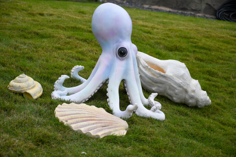 草地上的章鱼与贝壳图片
