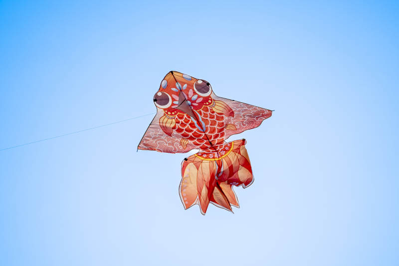 空中飞舞的鱼形风筝图片