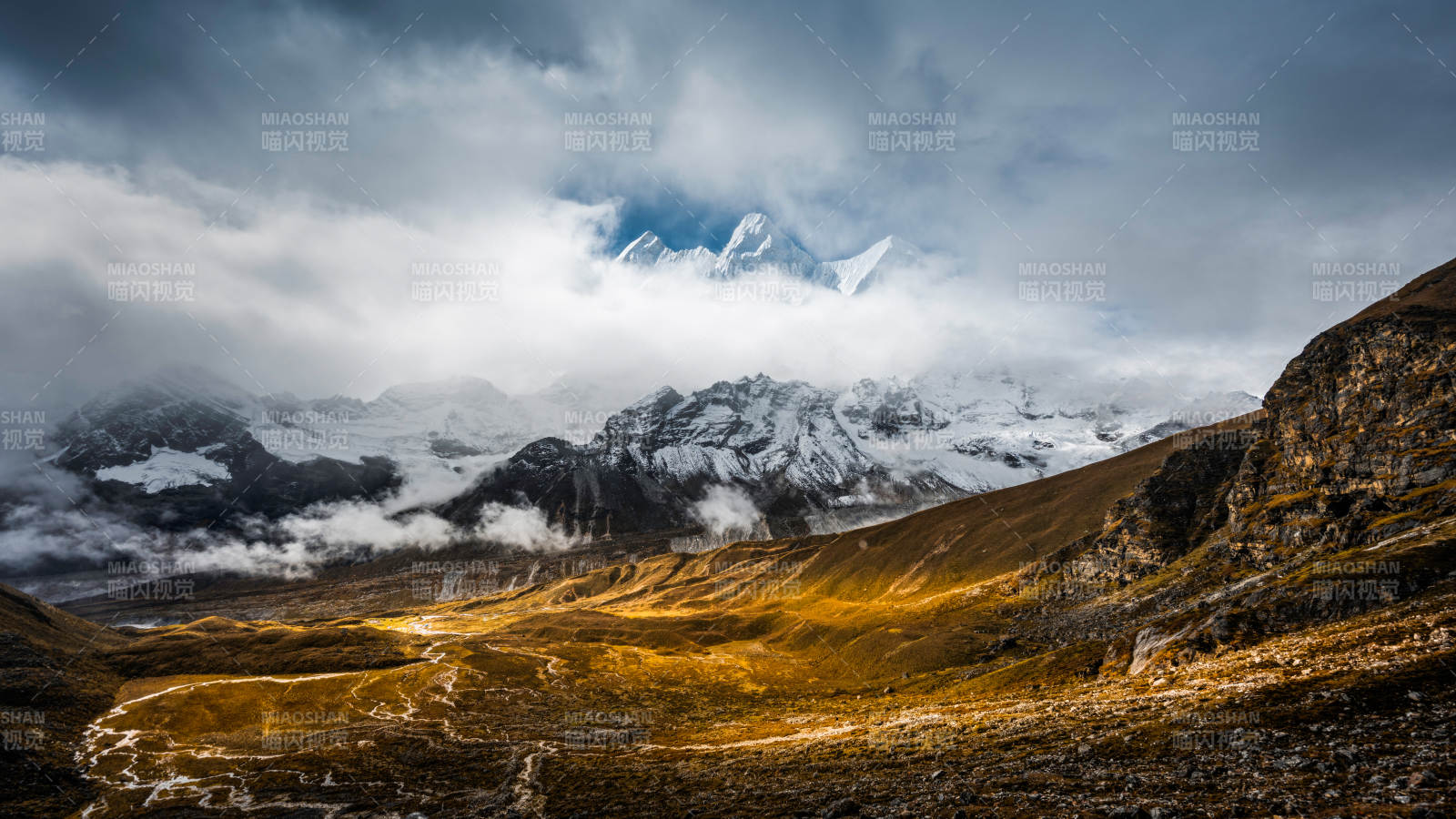 雪山云海 金黄山谷图片
