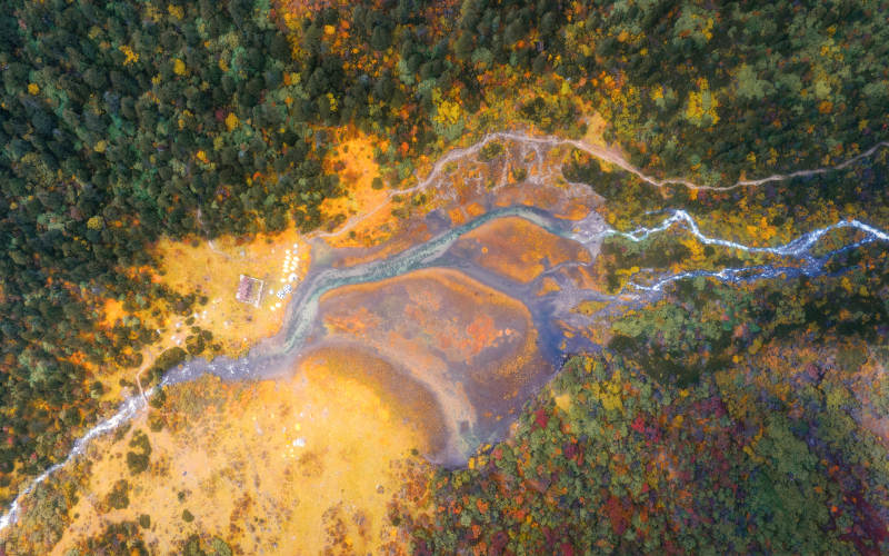 秋日森林溪流俯瞰图图片