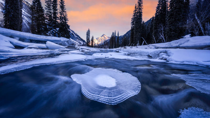 冬日冰河 雪林晨曦图片