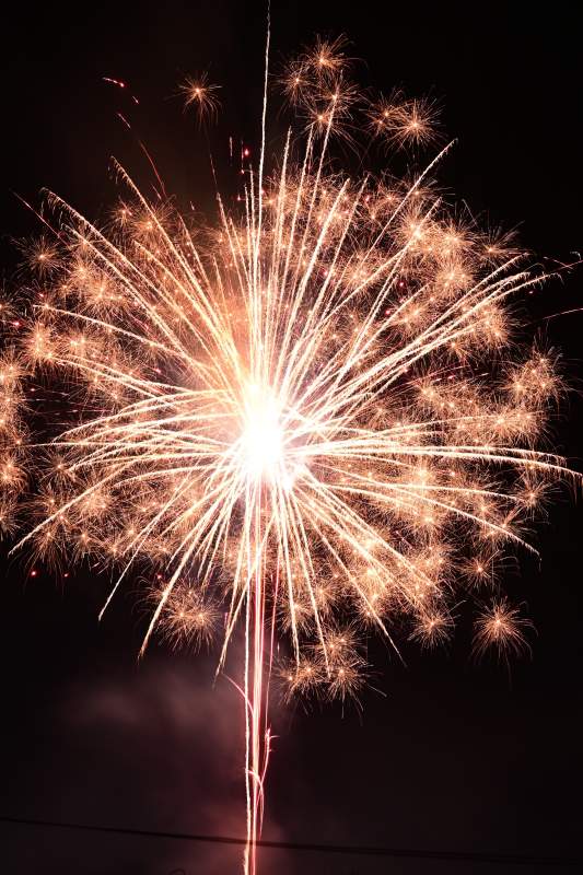 璀璨烟花绽放夜空图片