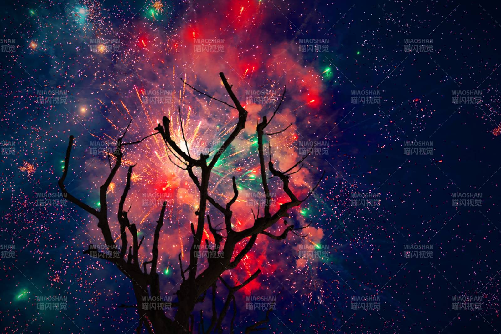 星空下的枯树奇景图片