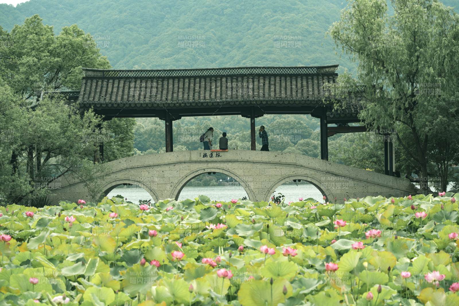 荷塘古桥 山水相映图片