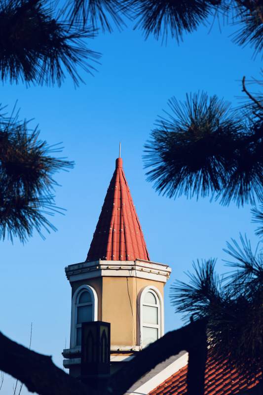 松枝映衬红色塔尖图片