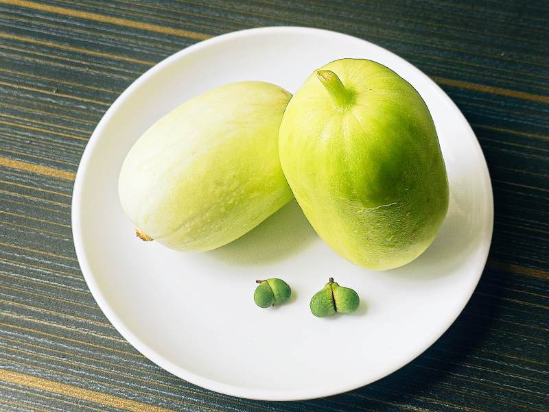 青色果实与种子展示图片