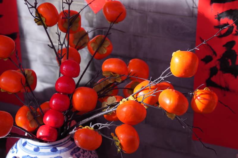 柿子挂枝头 喜庆迎新春图片