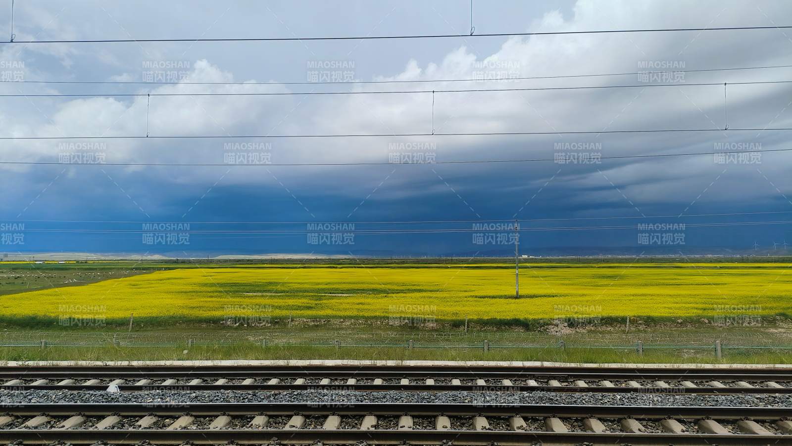 铁轨旁的油菜花田图片