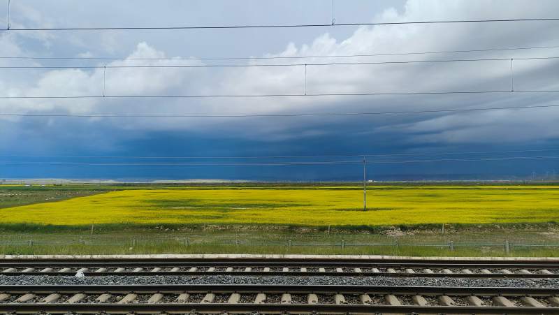 铁轨旁的油菜花田图片