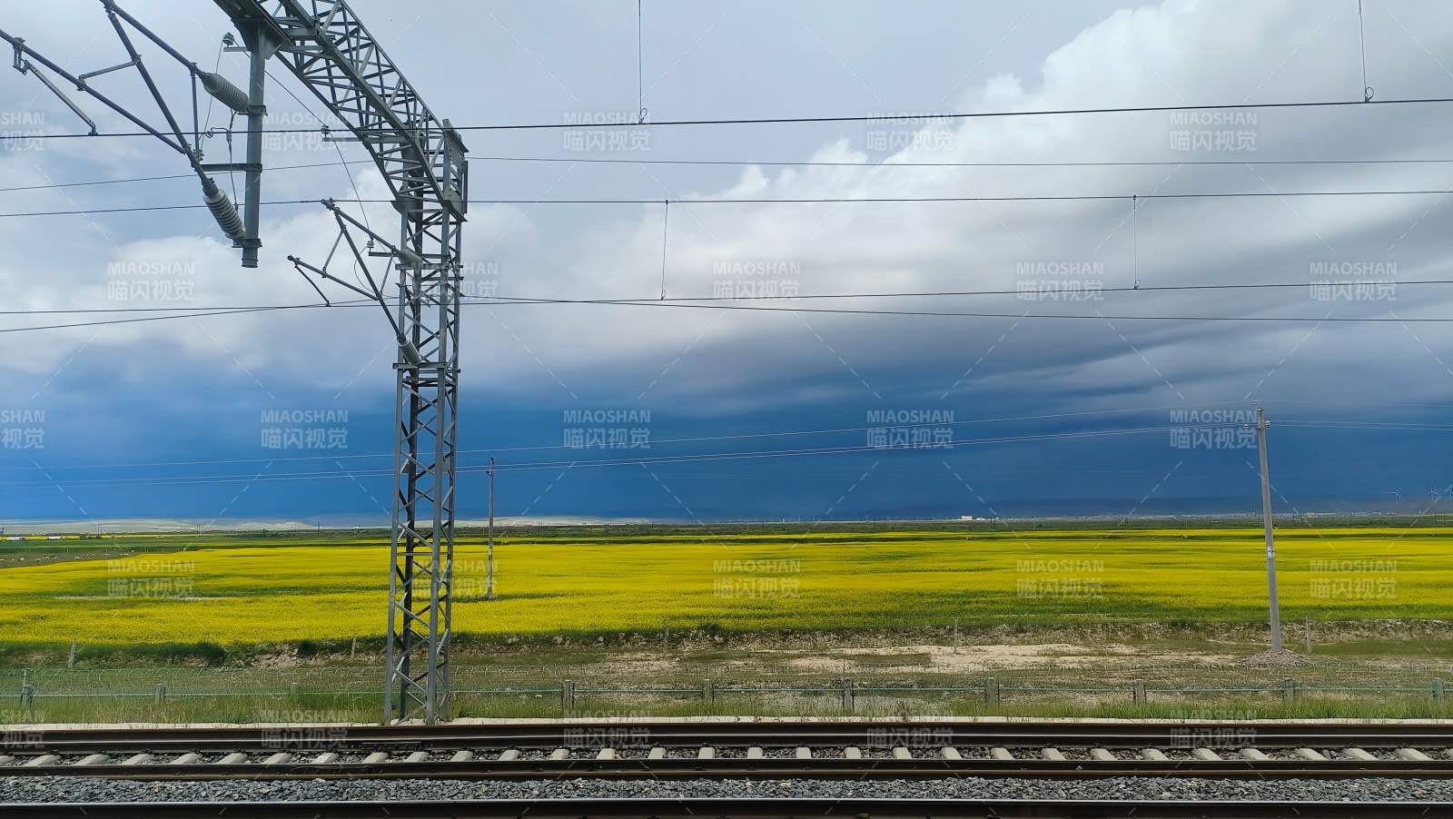 铁路旁的油菜花田图片