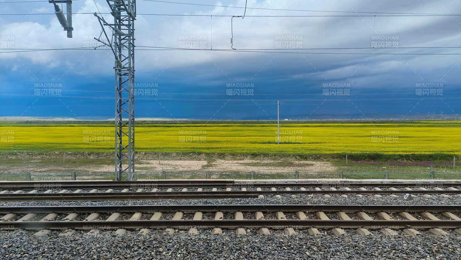 铁路旁的油菜花田图片