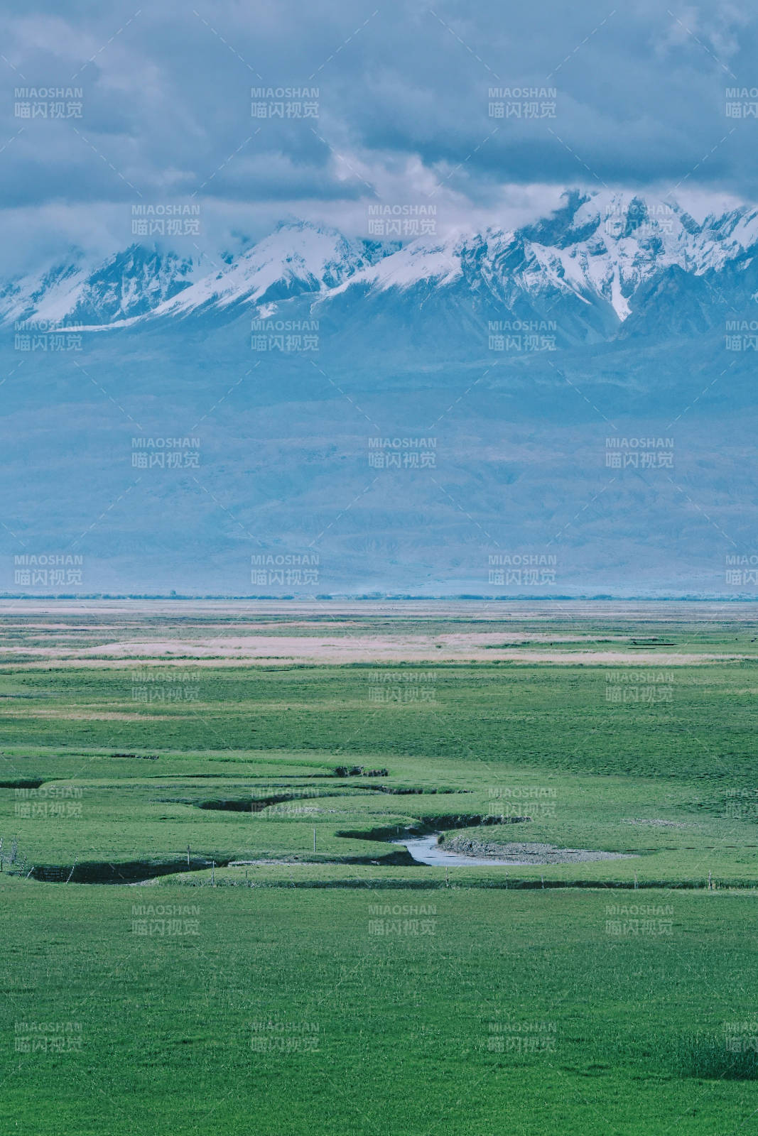 帕米尔高原雪山下的绿野风光图片