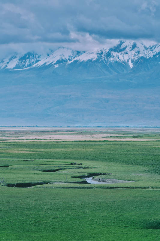 帕米尔高原雪山下的绿野风光图片
