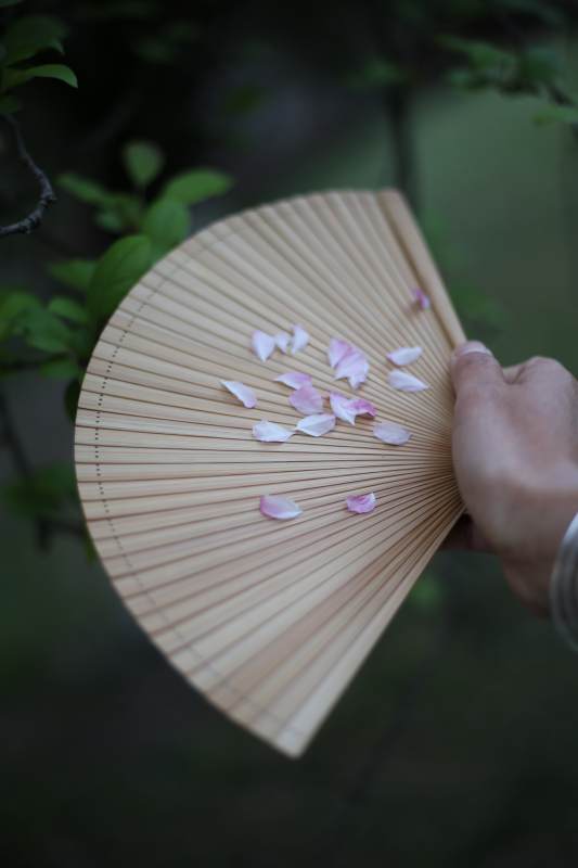 花瓣轻落竹扇间图片