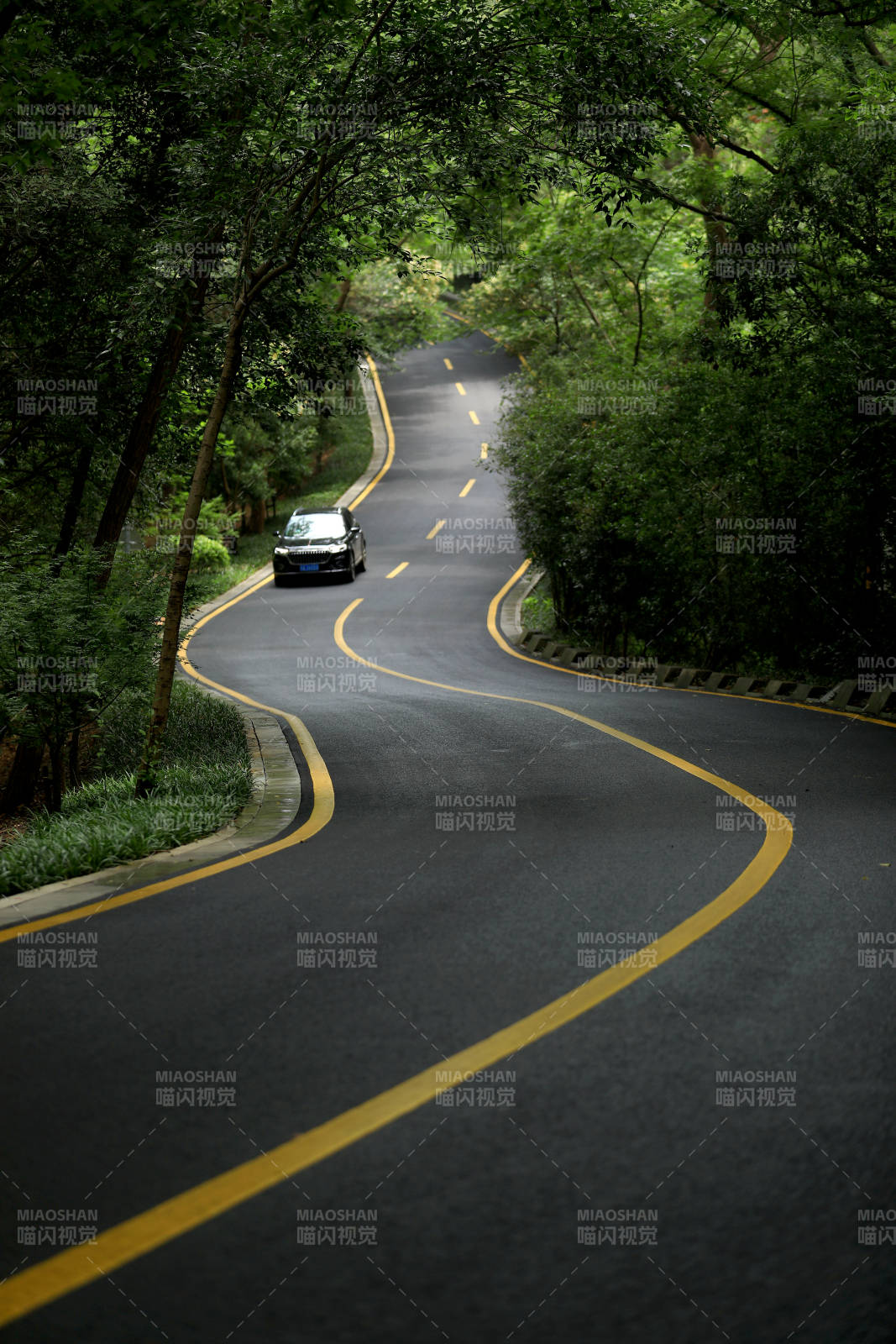 一辆汽车行驶在蜿蜒起伏的森林公路图片