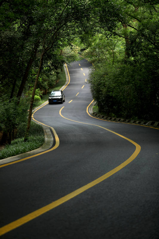 一辆汽车行驶在蜿蜒起伏的森林公路图片