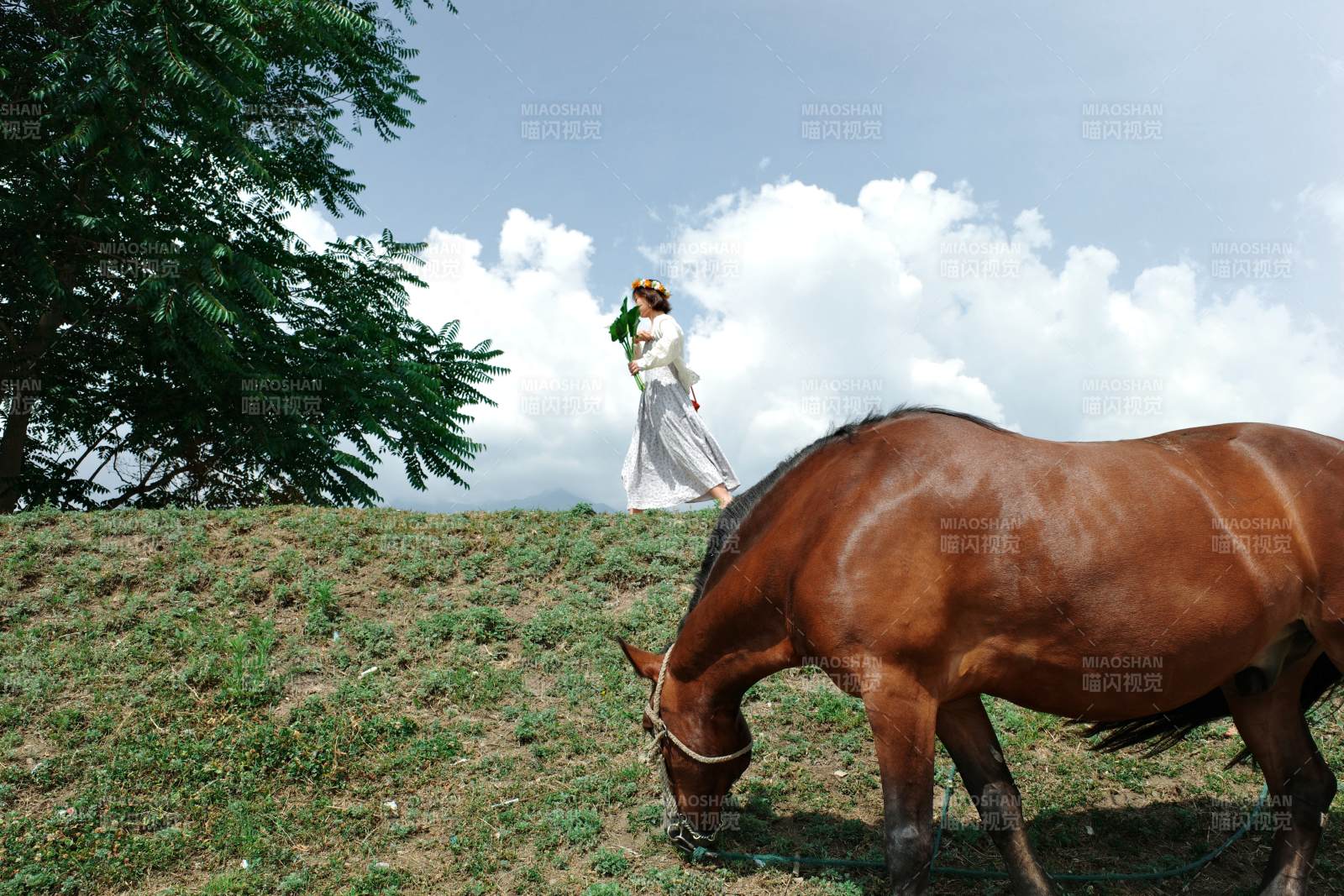新娘与马共度田园时光图片