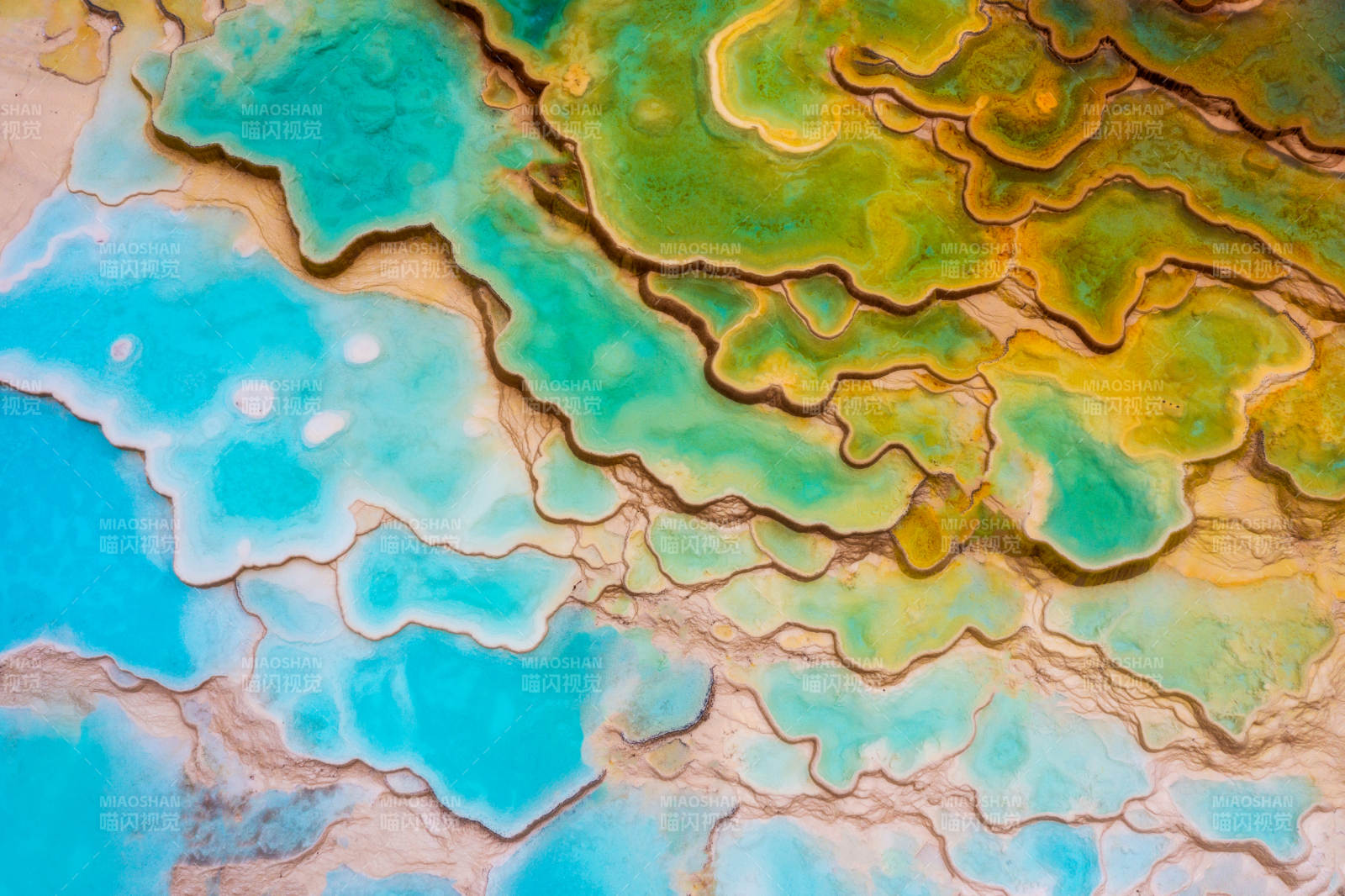 彩色热泉的自然奇观图片