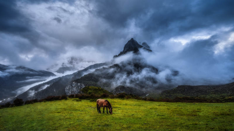 山间雾霭 孤马悠然图片