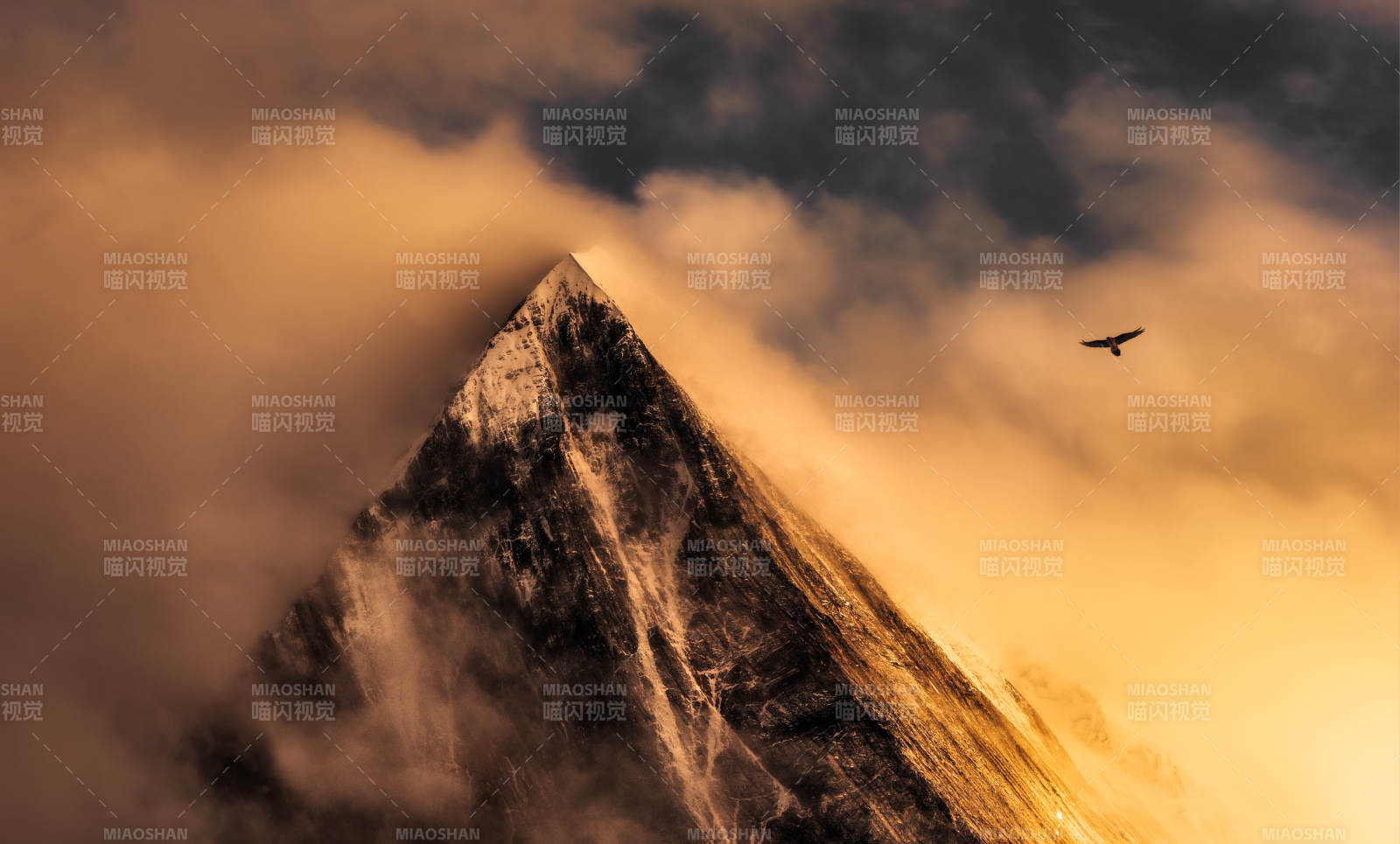 云雾缭绕 鹰翔山巅图片