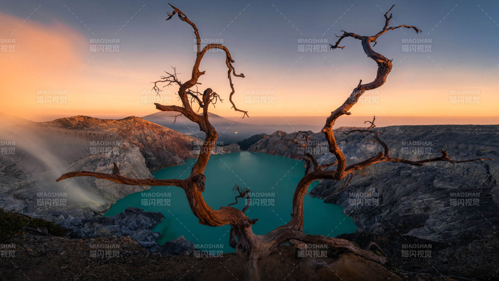 火山湖畔的枯树剪影图片