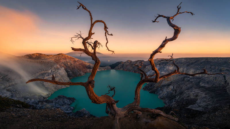 火山湖畔的枯树剪影图片