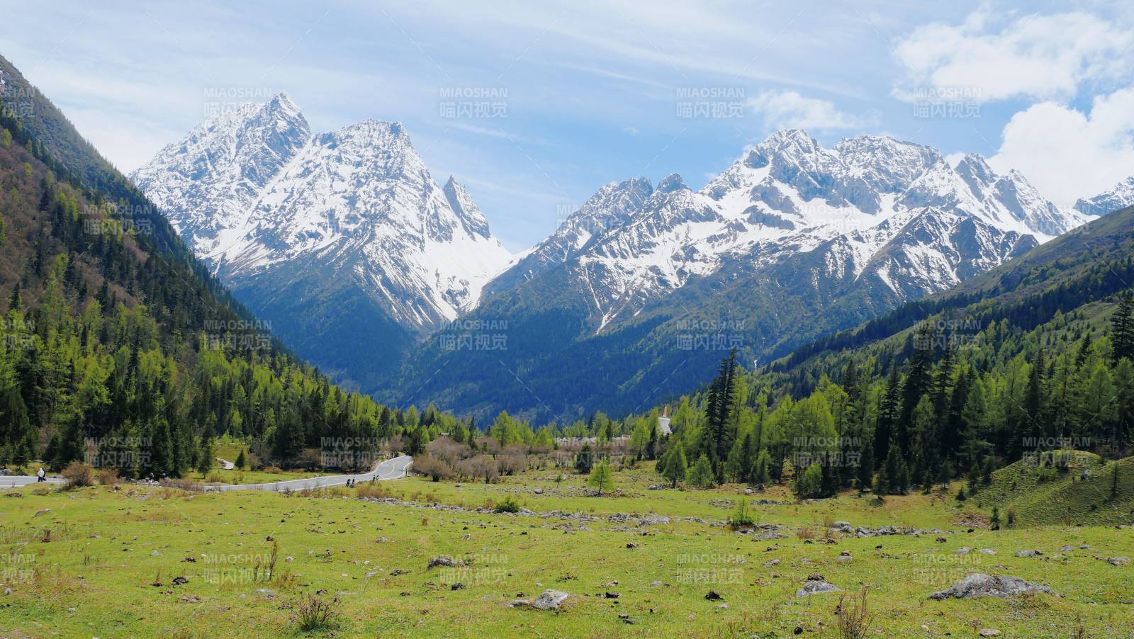 ［四姑娘山］雪山绿谷春意浓图片