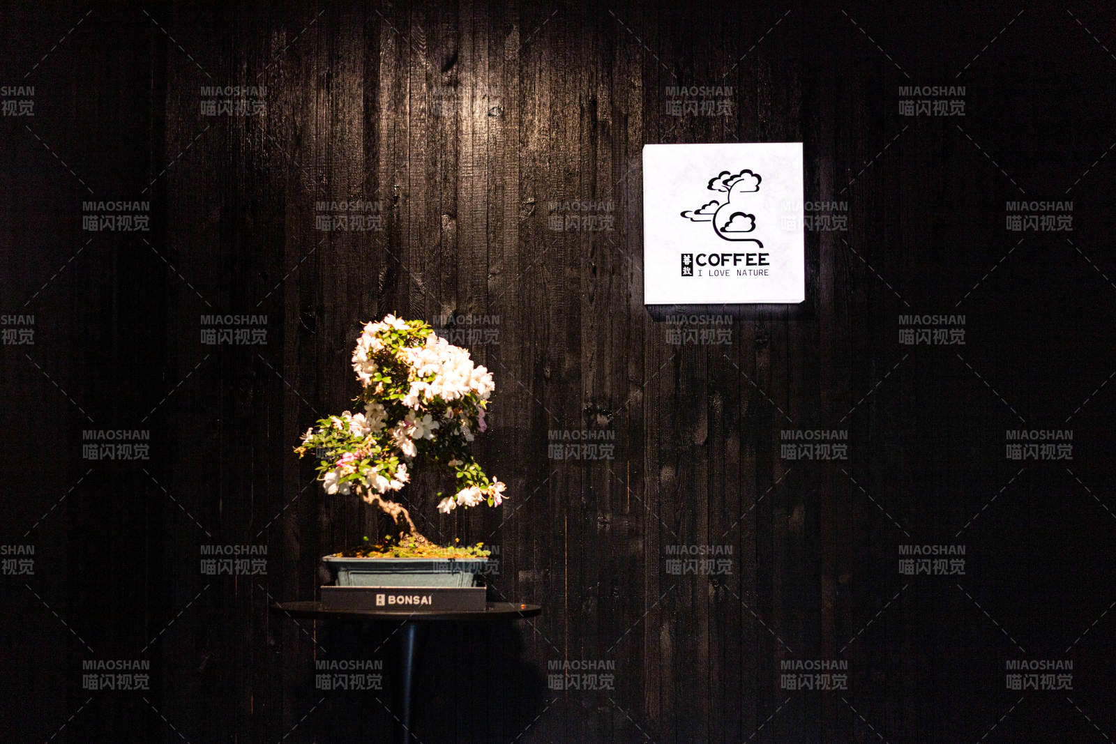 咖啡馆里的盆景艺术图片