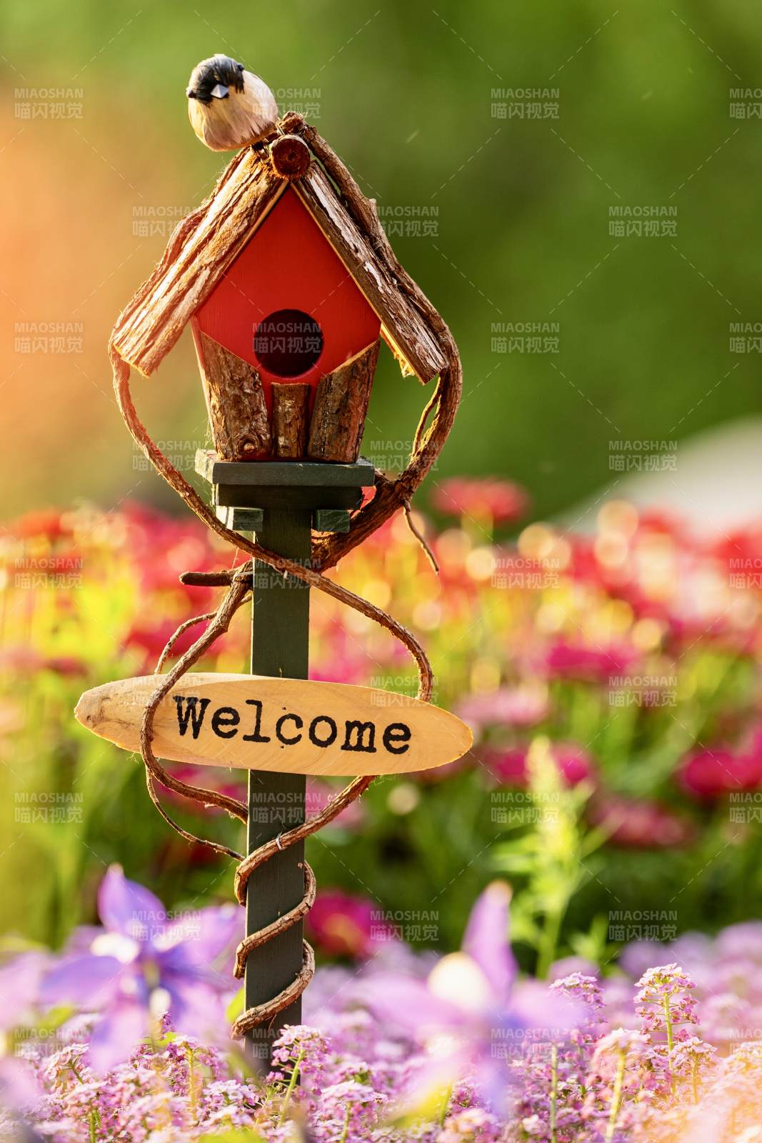 海淀公园的莫奈花园图片