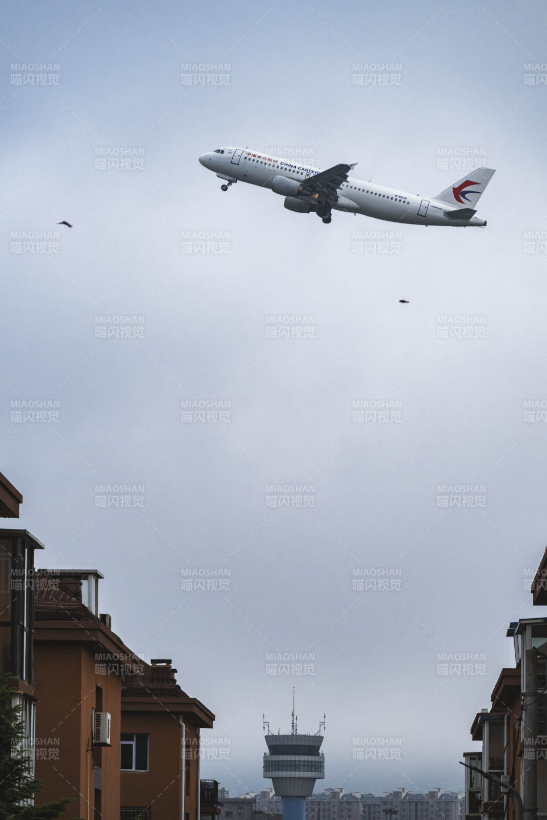 飞机低空飞过城市上空图片