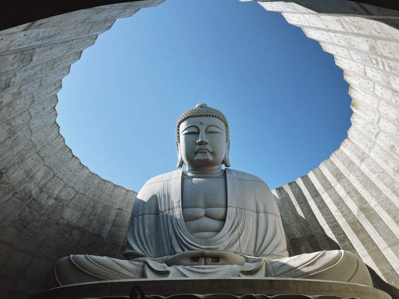 安藤忠雄-大佛头图片