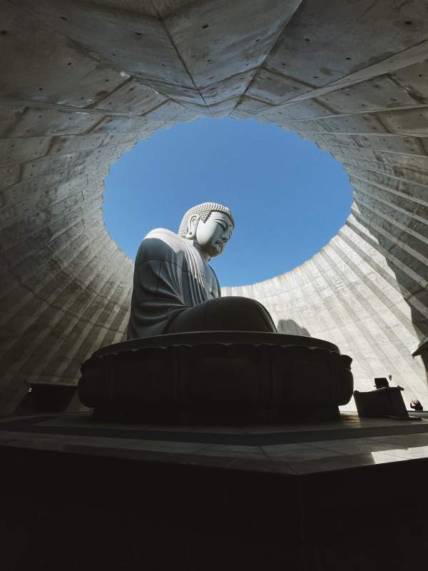 安藤忠雄-大佛头图片