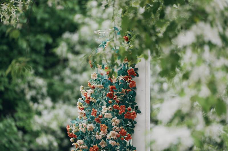 花墙装饰 自然美景图片