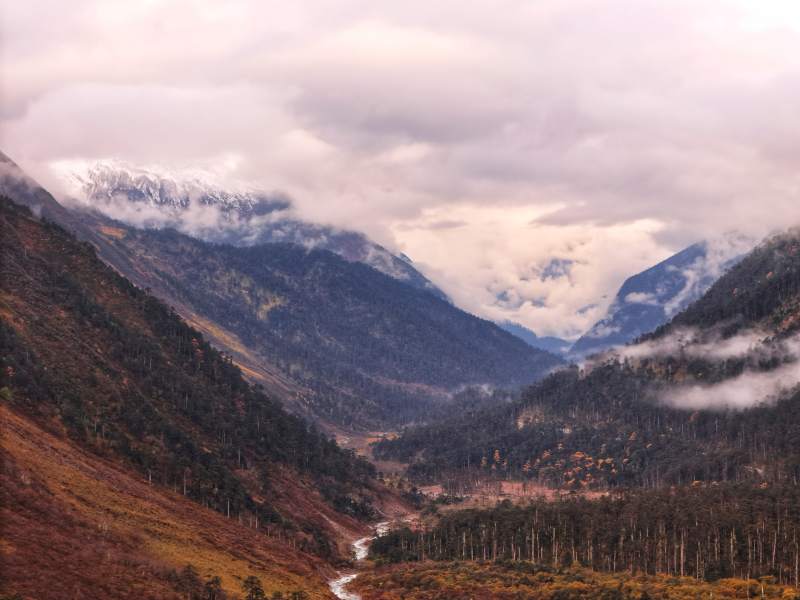 墨脱云雾缭绕 南迦巴瓦雪山隐现图片