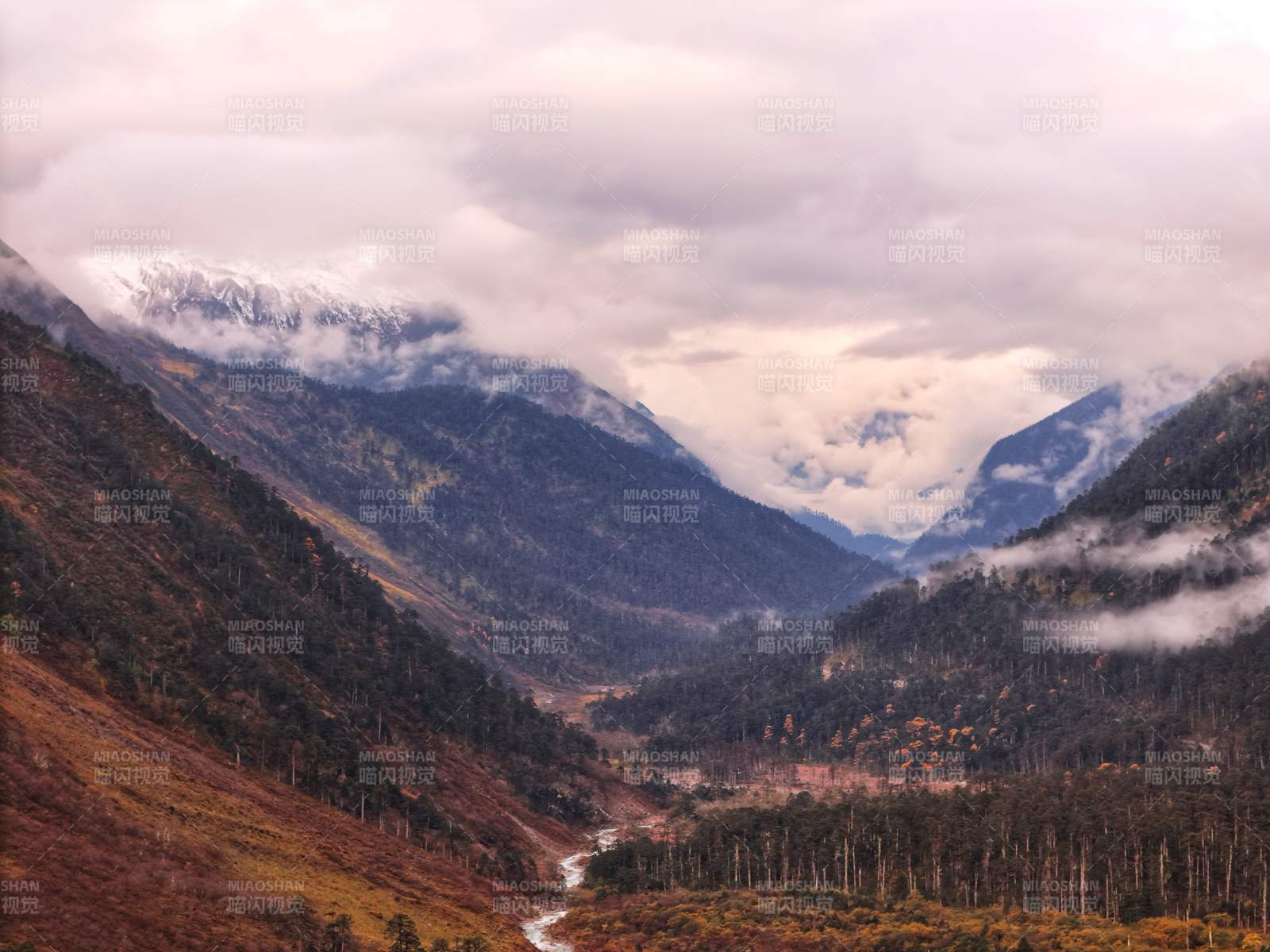 墨脱云雾缭绕 南迦巴瓦雪山隐现图片