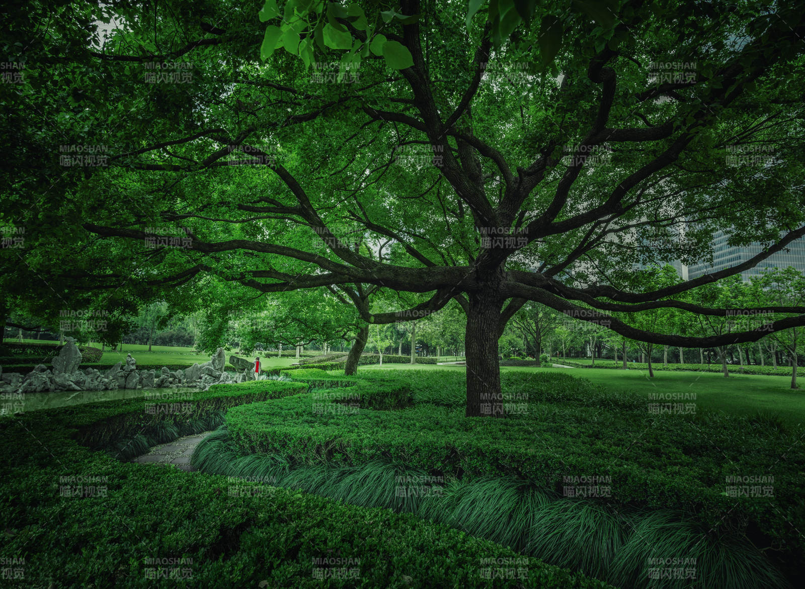 绿意盎然的公园一角图片