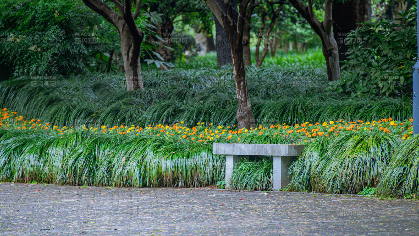 公园长椅旁的花丛美景图片