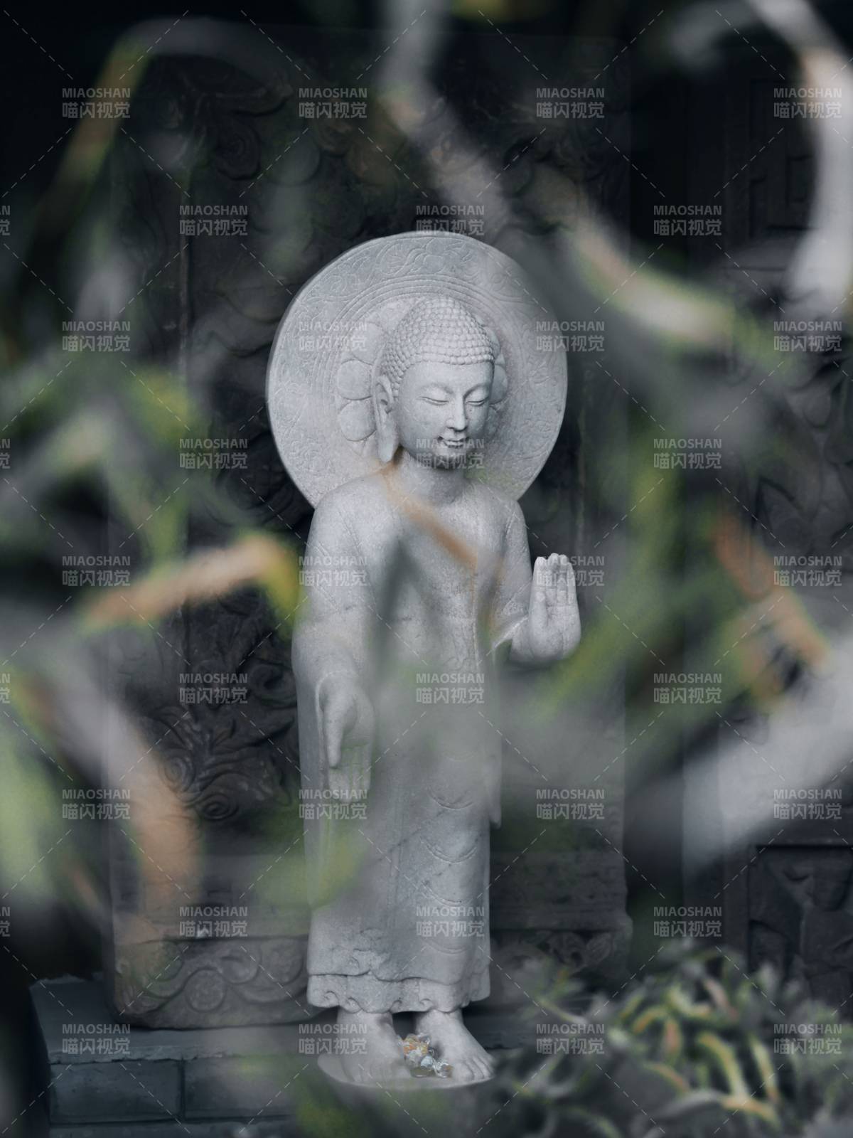 佛像静谧 绿叶环绕图片