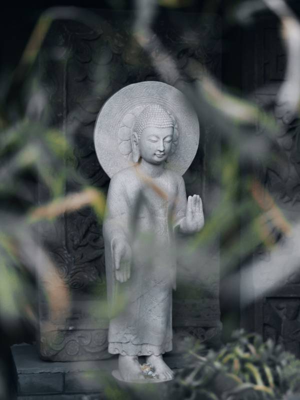 佛像静谧 绿叶环绕图片